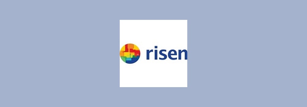 Risen Energy brand banner