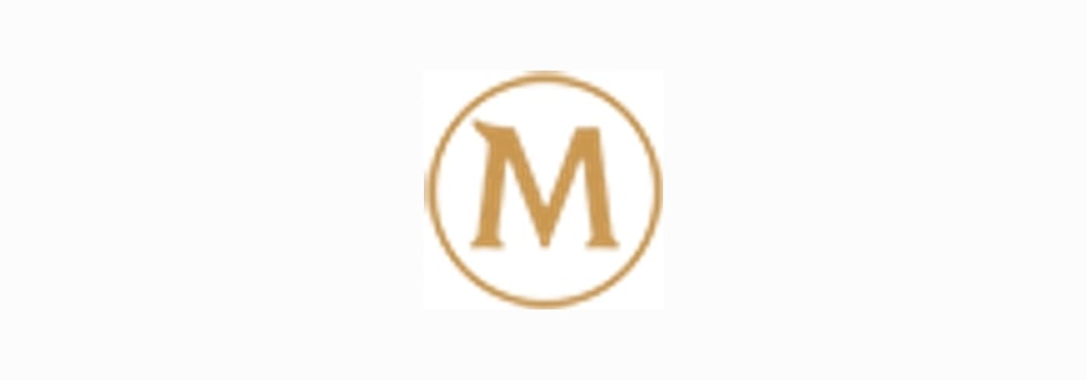 The Magnum Ice Cream Company brand banner