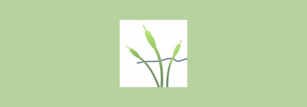 Koonambil Aged Care Limited brand banner
