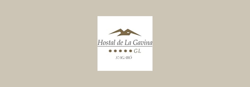 Lagavi brand banner