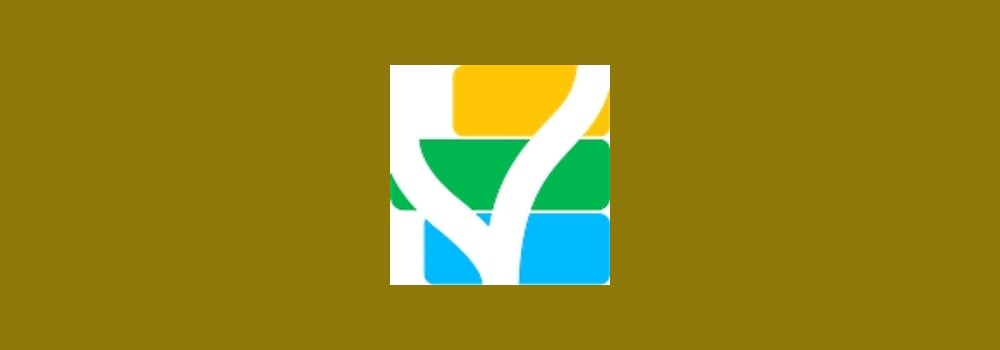 Pulso brand banner