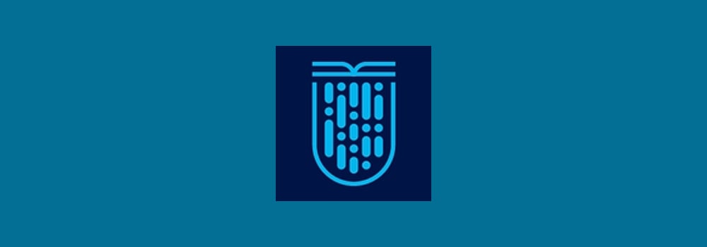 Council for Digital Safety and Wellbeing brand banner