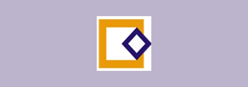 Magnus India Consulting Services brand banner