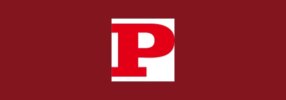 Paisalo Digital Limited brand banner