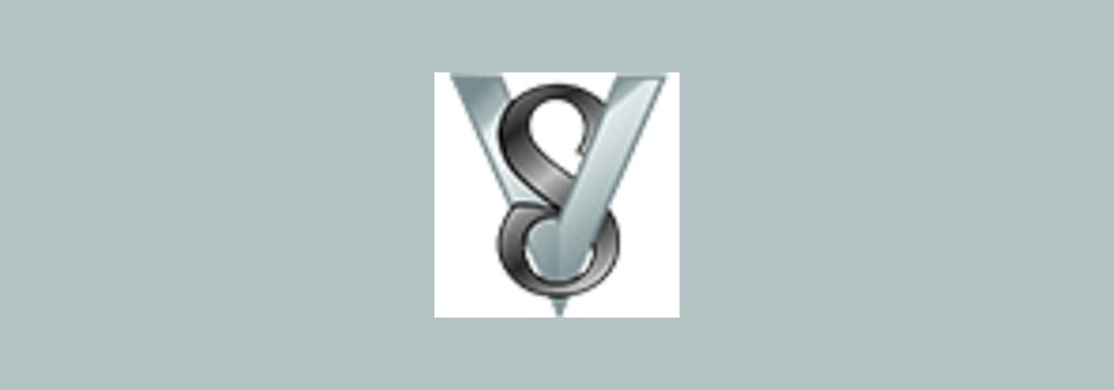 Vertisystem brand banner