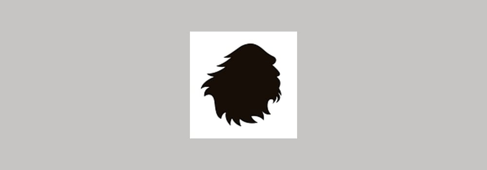 Satori SA brand banner