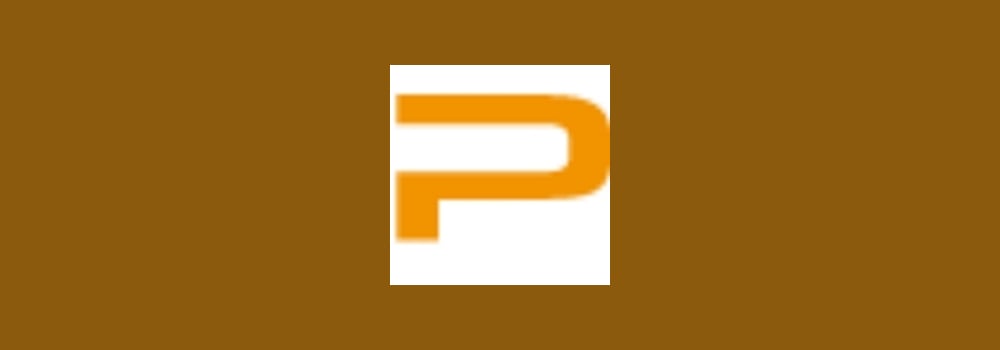Projinit brand banner