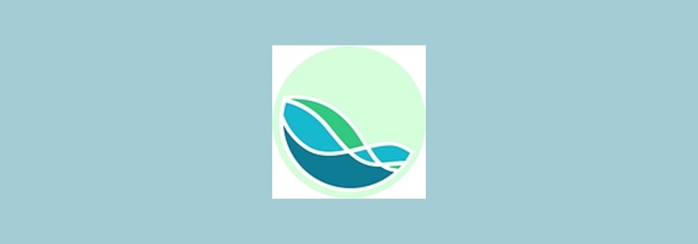 Institute for Health brand banner