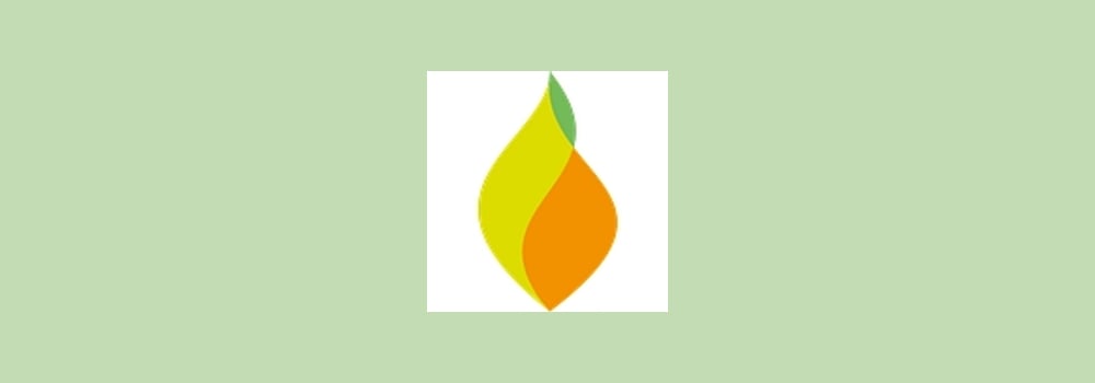 Energie Ausserschwyz AG brand banner