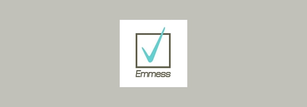 Emmess srl Executive Consulting brand banner