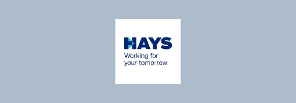 Hays Specialist Recruitment brand banner