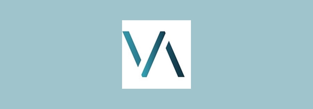 Vida Group International brand banner
