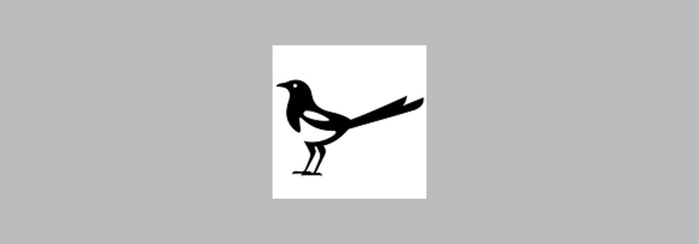 Magpie Recruitment brand banner
